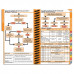 MDpocket® Metro Health IM